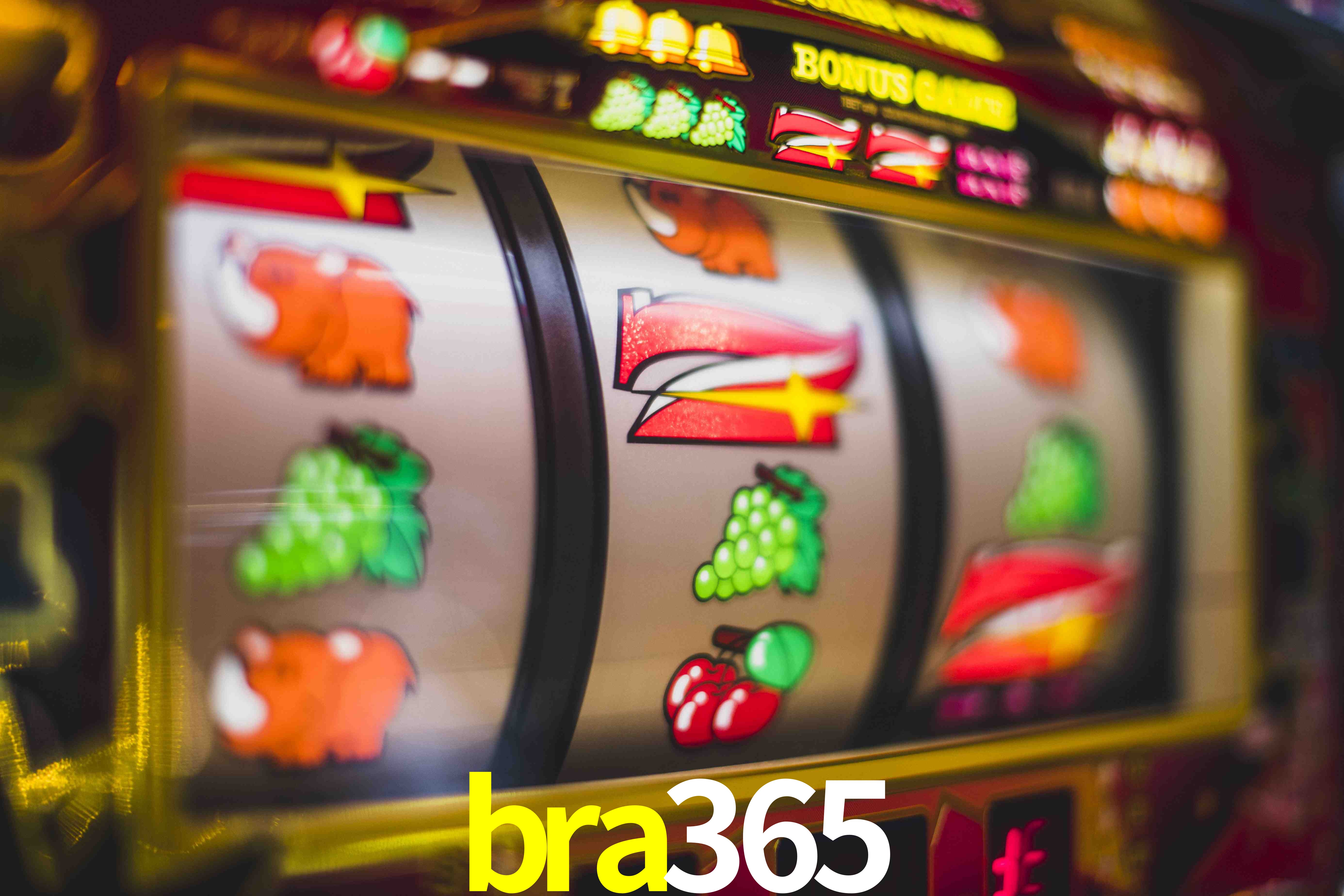 Sports Statistics bra365